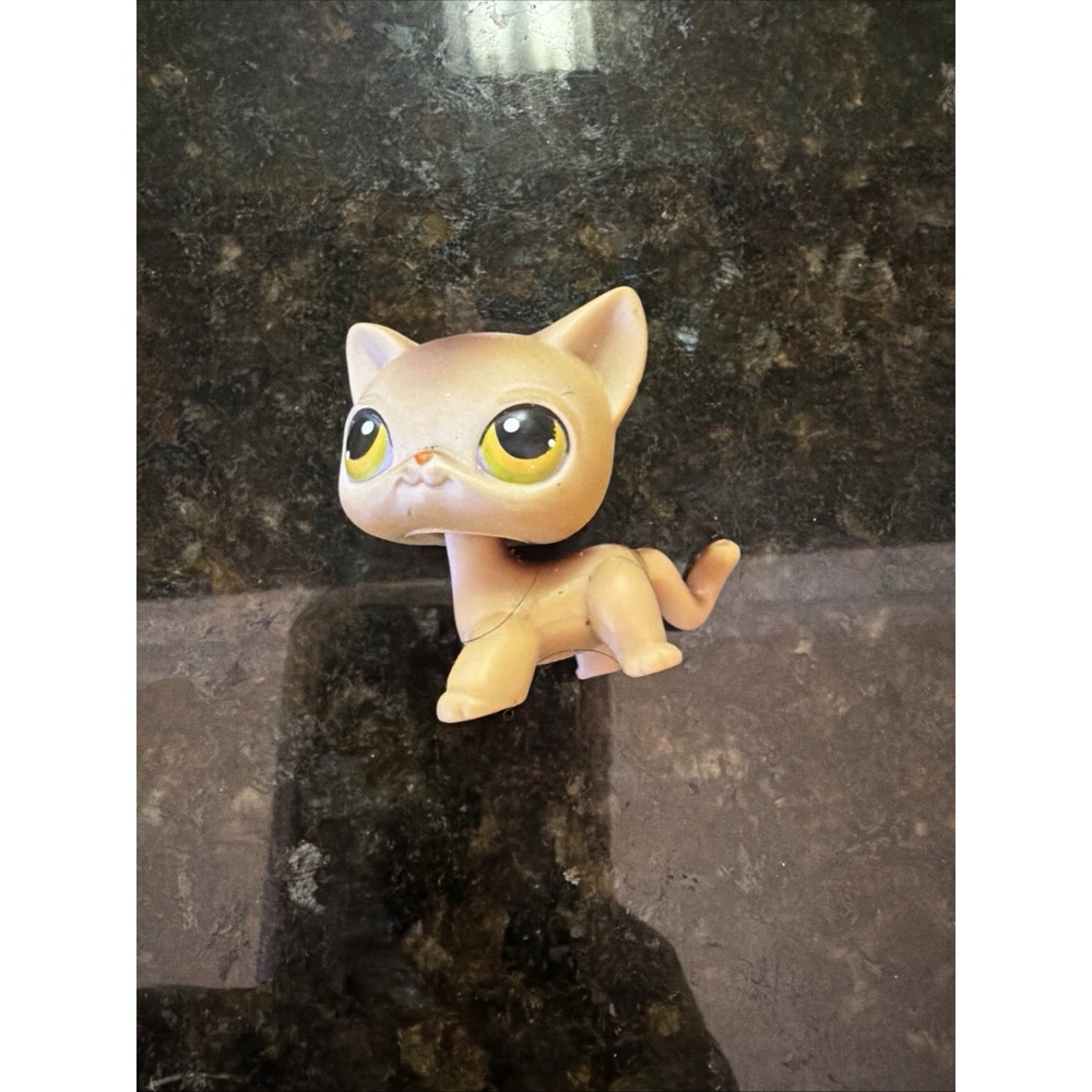 LPS Littlest Pet Shop #19 Brown and Tan Shorthair Cat Authentic